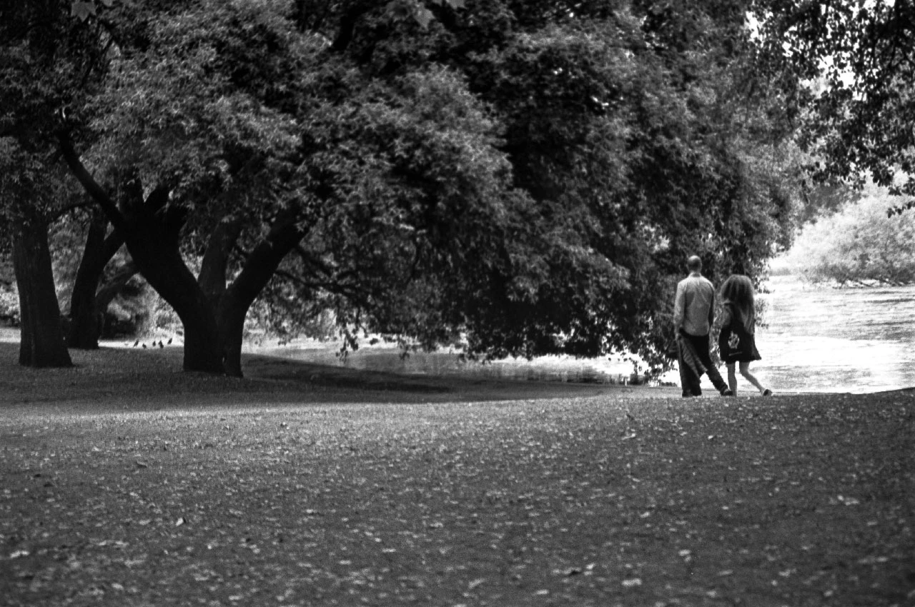 Another walk in the park