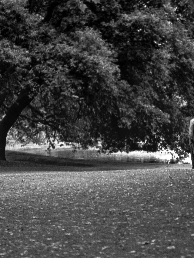 Another walk in the park