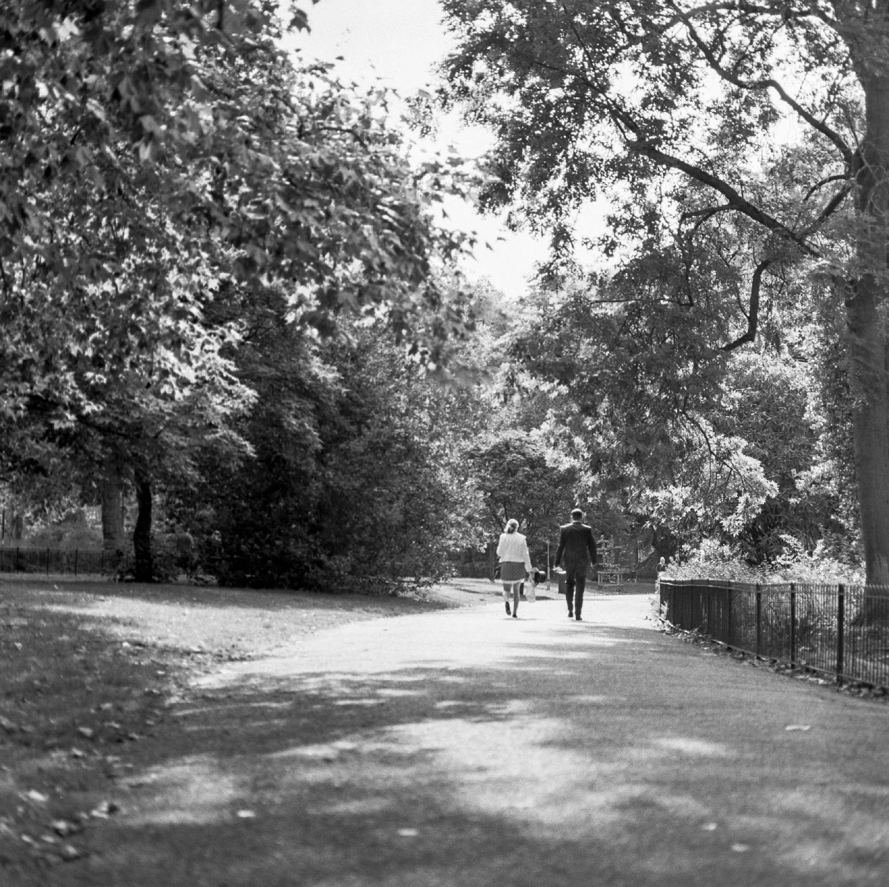 Walk in the park