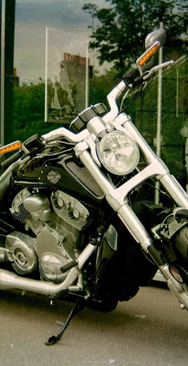 Harley