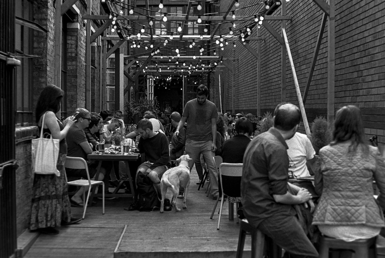 Dinner lights