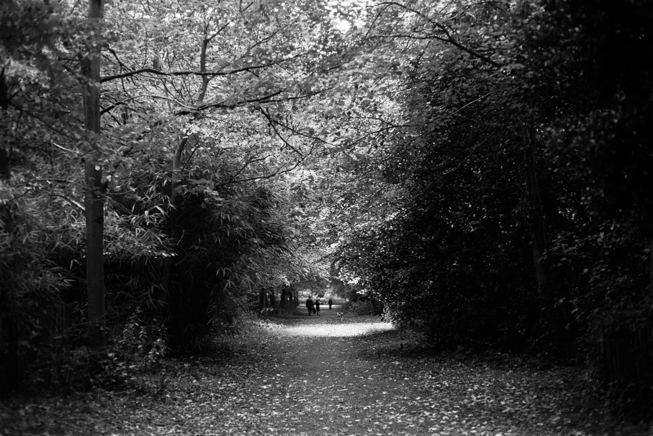 In the woods