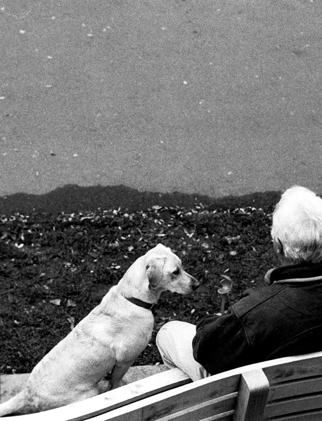 Man and the dog