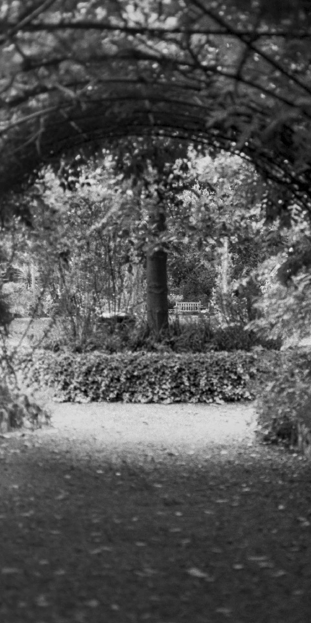 Park entrance