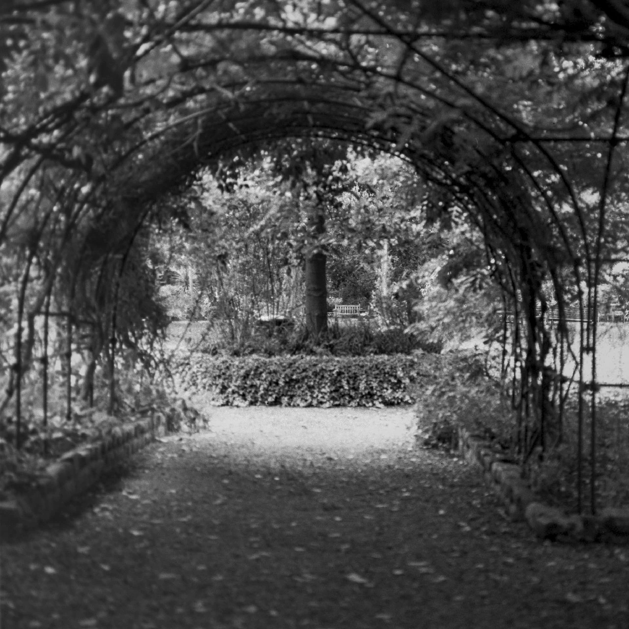 Park entrance