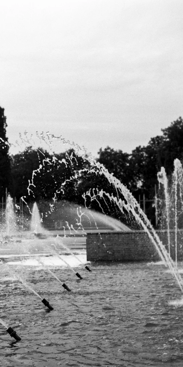 Water pool at Battersea park