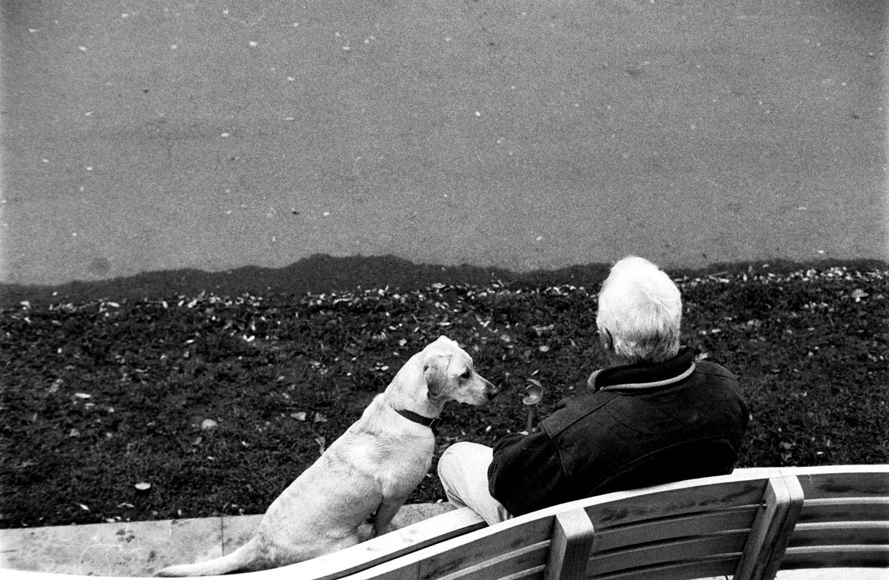 Man and the dog